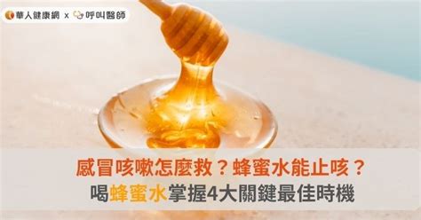 蜂蜜水咳嗽比例|熱蜂蜜水能治感冒！牛津學者認證：減少抗生素抗藥性